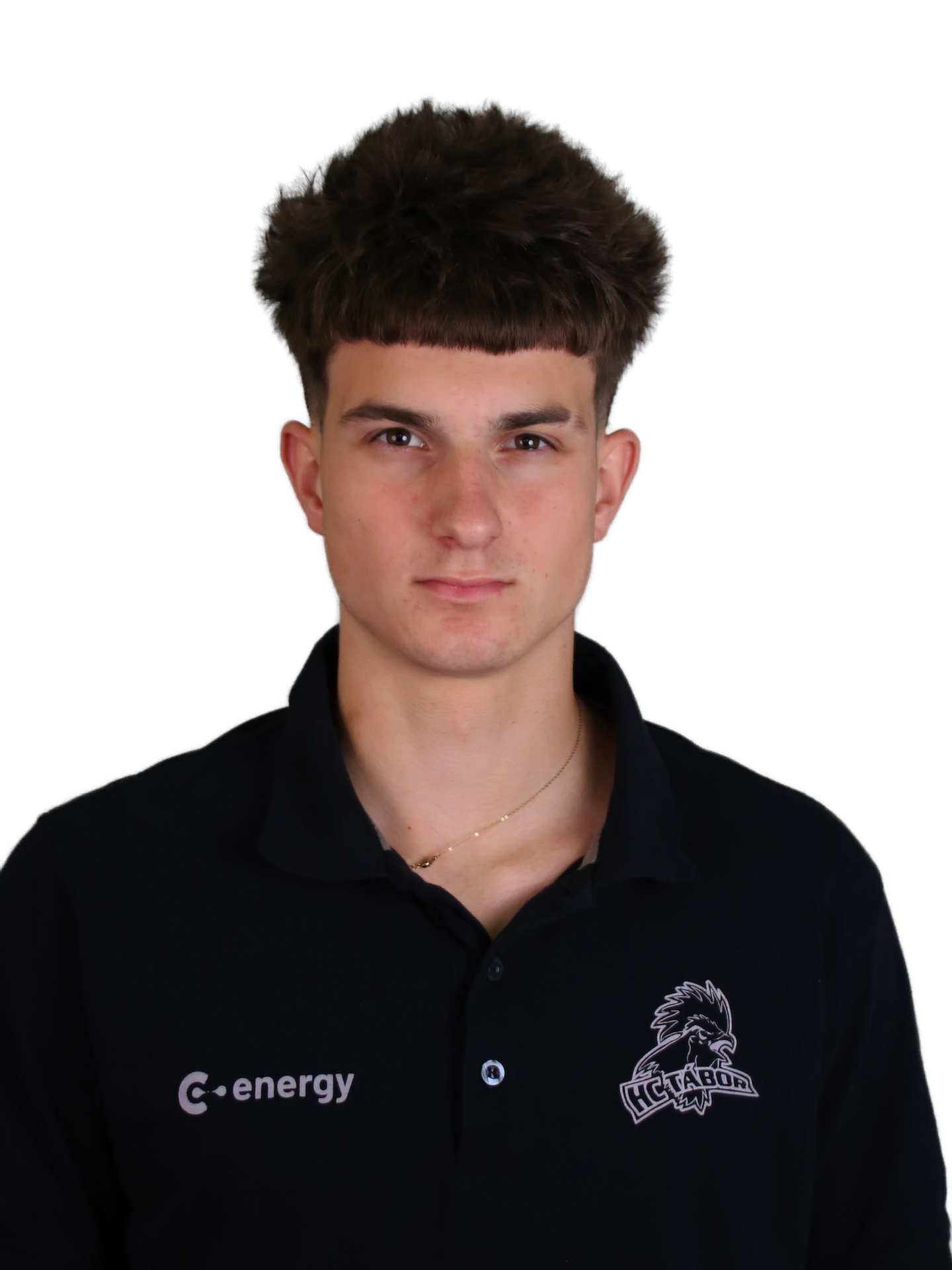 Vítězslav Mácha